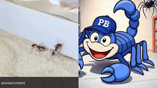 Pesticide free scorpion pest control