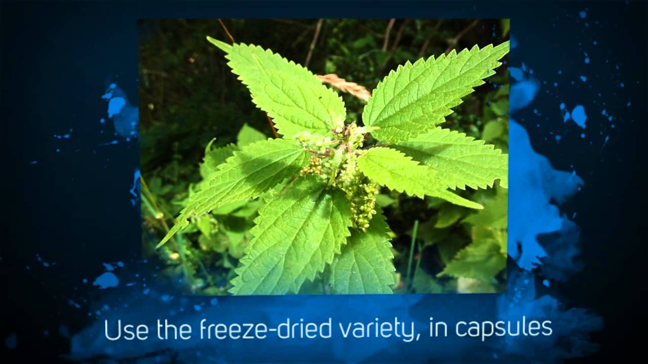 Natural Remedies for Pollen AllergiesTips YouTube