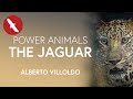 Animaux de pouvoir  le jaguar  alberto villoldo