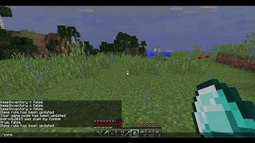 How To Get Inventory Save