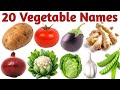 20 सब्जियों के नाम सीखें बच्चों के लिए | Learn 20 Vegetable Names for Kids with Pictures and Sounds