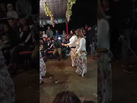 الشيخ كادر حركي و زيدي حركي