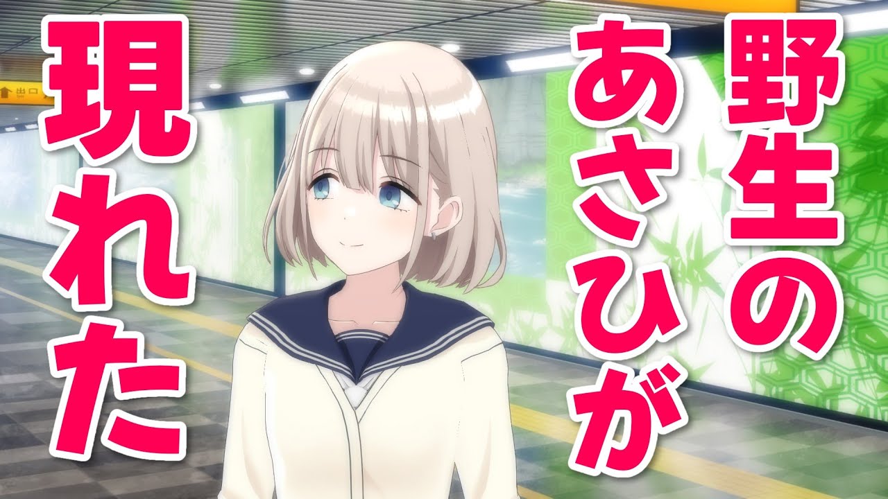 急に出現する芹沢あさひ