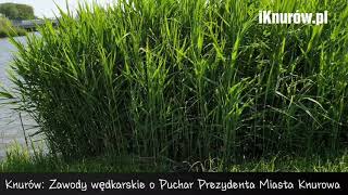iKnurow.pl - Knurów: Zawody wędkarskie o Puchar Prezydenta Miasta