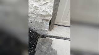 Comprehensive Pest Control & Exterminator Services in Cypress, Katy & Houston