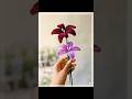 Episode 1: The Blooming Lily#art #artist#diy#craft#shorts#artseries#handmade#pipecleanerflowers#love