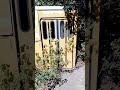 "Икарус". Прицеп. Заброшка №1. 🚌🏚️#Ikarus #кисловодск ⛰️