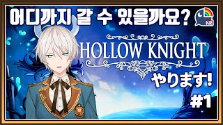 【Hollow Knight】전부리셋해버린 할로우나이트