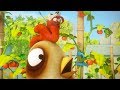 LARVA - WILD CHICKEN | Cartoon Movie | Cartoons For Children | Larva Cartoon | LARVA Official