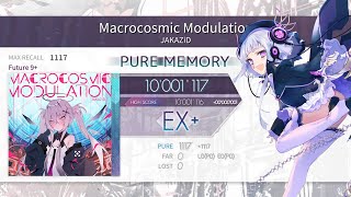 【Arcaea】Macrocosmic Modulation(Future 9+)　FPM理論値　10001117pts(max)