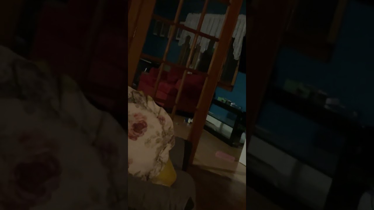 MUSIC BOX BLUES COVER JOE RETTA SONG TSO