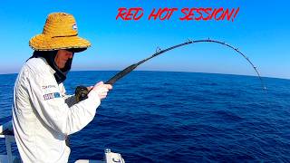 This Reef Was LOADED With Fish! Jigs & Baits got SMASHED!
