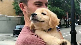 Dogs Who Totally Break a Man’s Heart at First Sight 😻 Cutest Puppies Videos Ever!