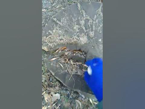 яйко...😭 - YouTube