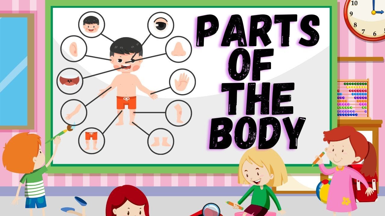 Let's Learn Parts of the Body! | Parts of the Body | #BachpanFun2Learn ...