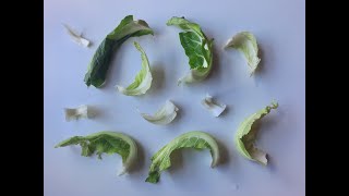 Cauliflower leaves, 2 easy recipes