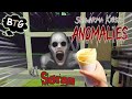 DAY 1 and DAY 2 PLAYING SHAWARMA KIOSK‼️ SO SCARY | Roblox |