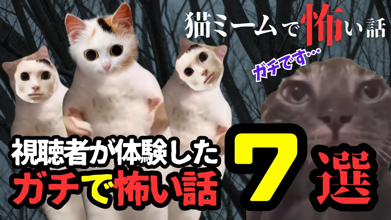 【総集編】視聴者がマジで体験した洒落怖な体験談②　7選【猫ミーム×ホラー】#猫マニ #怖い話 #体験談