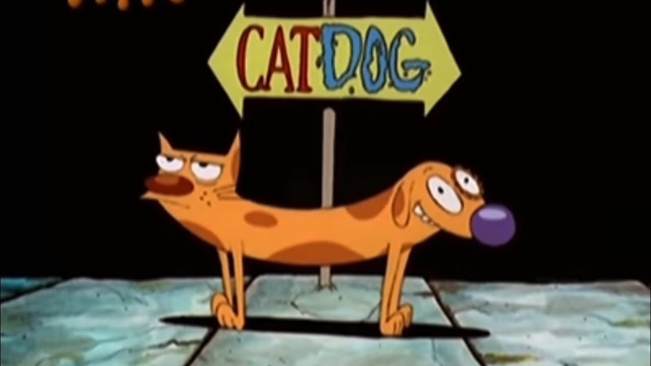 CATDOG Theme Song (1999) (Arabic version) YouTube