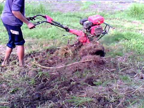 Traktor mini traktor kebun mini tiller YouTube Traktor mini traktor kebun mini tiller YouTube