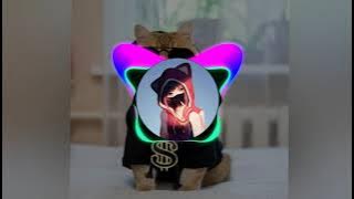 DJ aca aca nehi nehi || dj terbaru 2021 viral tik tok