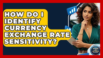 How Do I Identify Currency Exchange Rate Sensitivity? - Stock and Options Playbook