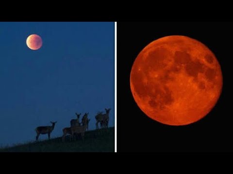 Lunar eclipse 27th july 2018 live and mars spotted full zoom