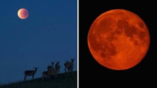 Lunar eclipse 27th july 2018 live and mars spotted full zoom