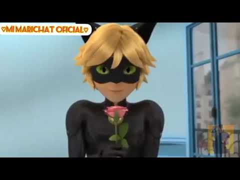 😘😍♡Marichat Forever♡😍😘