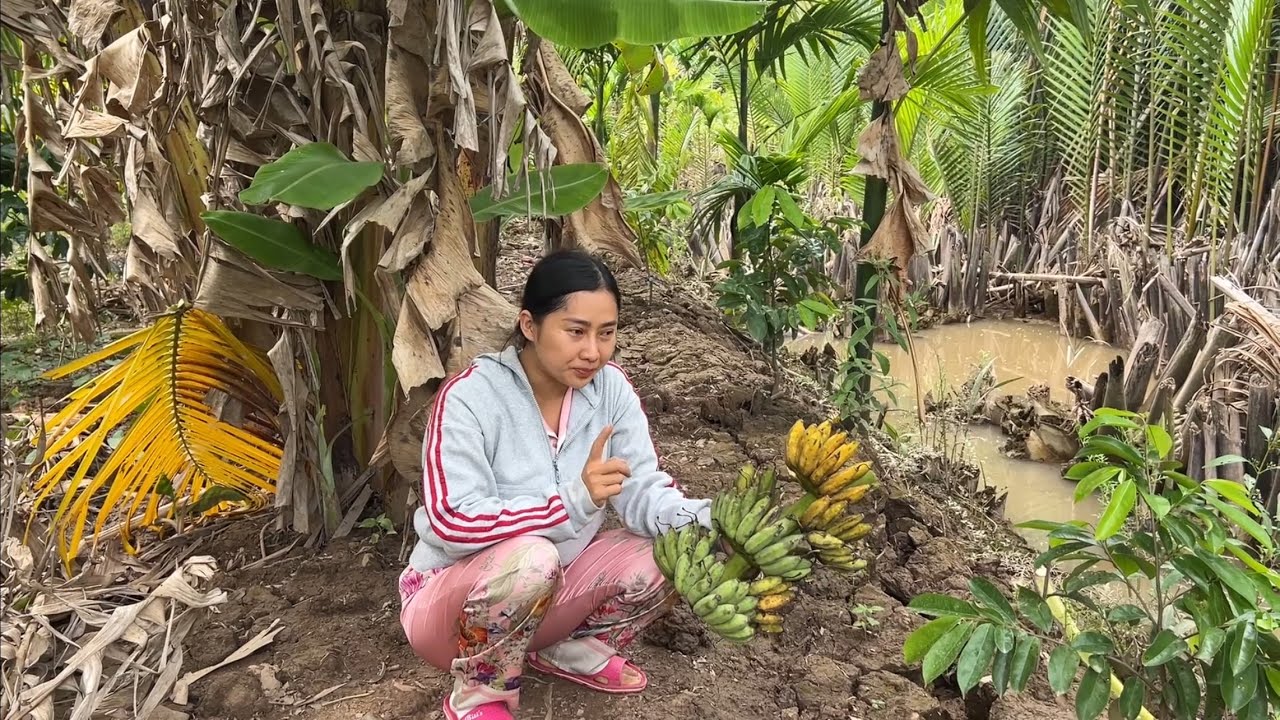 Đi Vườn Dọn Vườn Một Mình