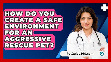 How Do You Create A Safe Environment For An Aggressive Rescue Pet? - PetGuide360.com