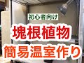 【塊根植物】初心者の簡易温室作り① Caudex