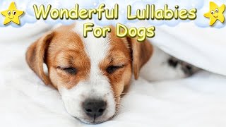 Super Relaxing Sleep Music For Dogs And Puppies ♫ Calm Your Pet