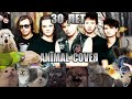 Сектор Газа - 30 лет (Animal Cover)