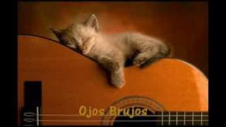 ricardo cobo: guitar lullaby (tarrega, assad, barrios, brouwer)