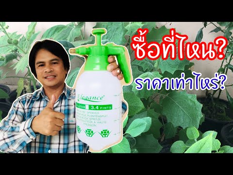 กระบอกฉีดพ่น หาซื้อได้ที่ไหน? ราคาเท่าไหร่? จะพาไปซื้อ | เกษตรกรชาวบ้าน