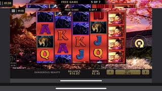 Dangerous Beauty Slot machine bonus round free spins screenshot 4