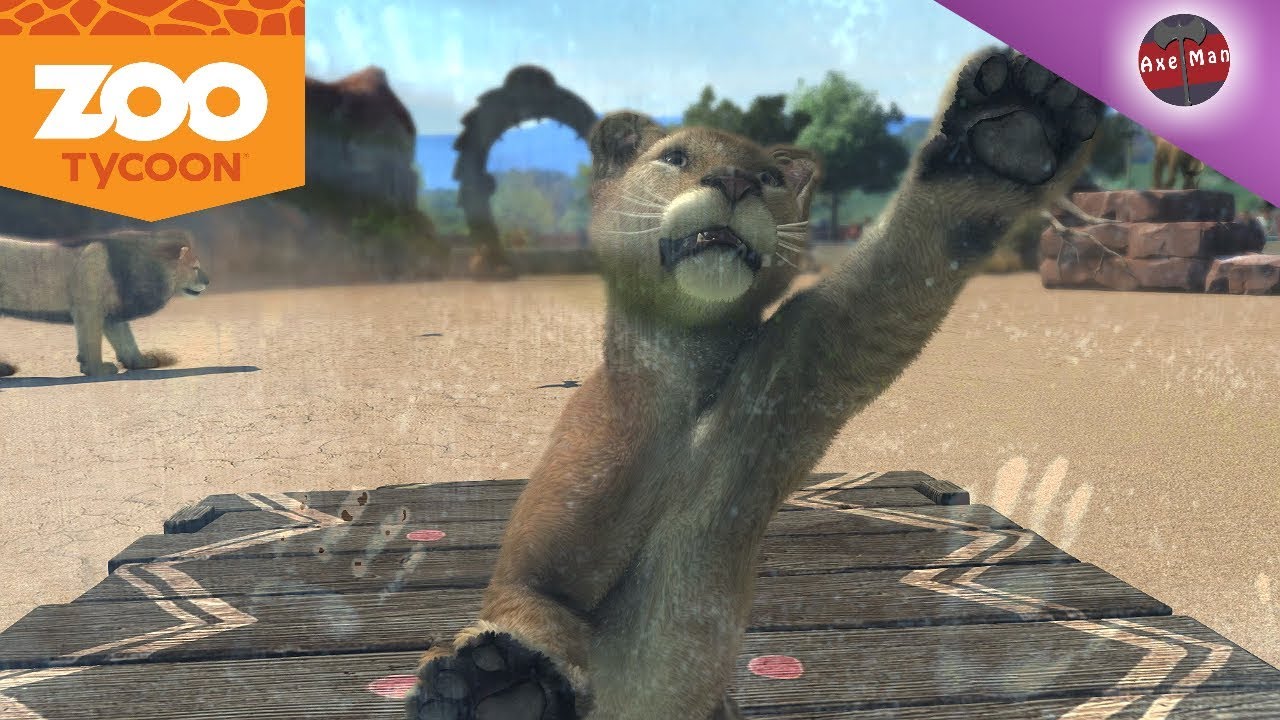 ADORABLE BABY LIONS ! CHIMPANZEE FAMILY ZOO TYCOON PC GAMEPLAY EP 3 YouTube