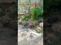 AN NAS Beautiful Recitation Of Quran Surah Al Nas سورۃ الناس Allah Quran Islamicvideo Islam