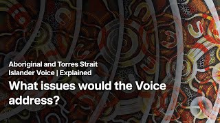 What issues would the Voice address?