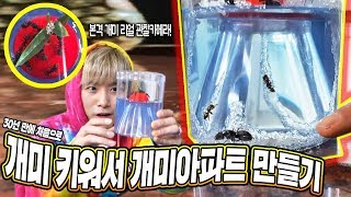 개미 키워서 개미아파트 만들어 보았습니다! - 허팝 (Grow Ants to make Ant House)