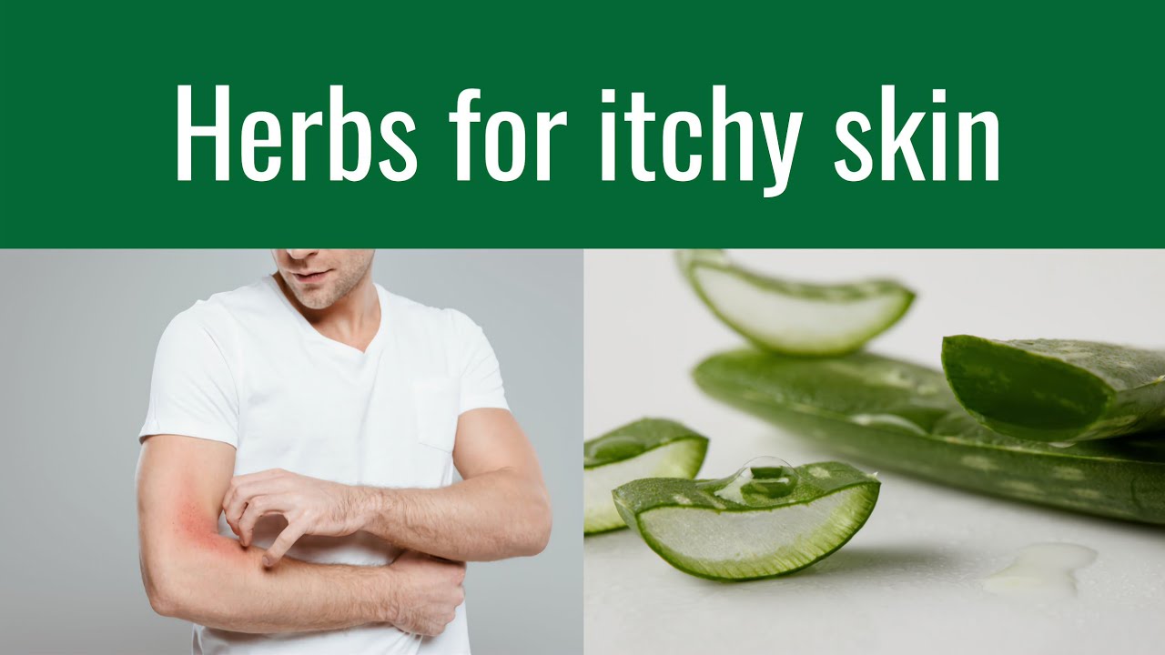 Herbs for itchy skin YouTube