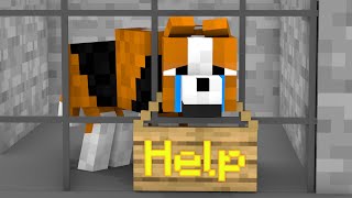 Monster School : POOR DOG - Sad Story - Minecraft Animation