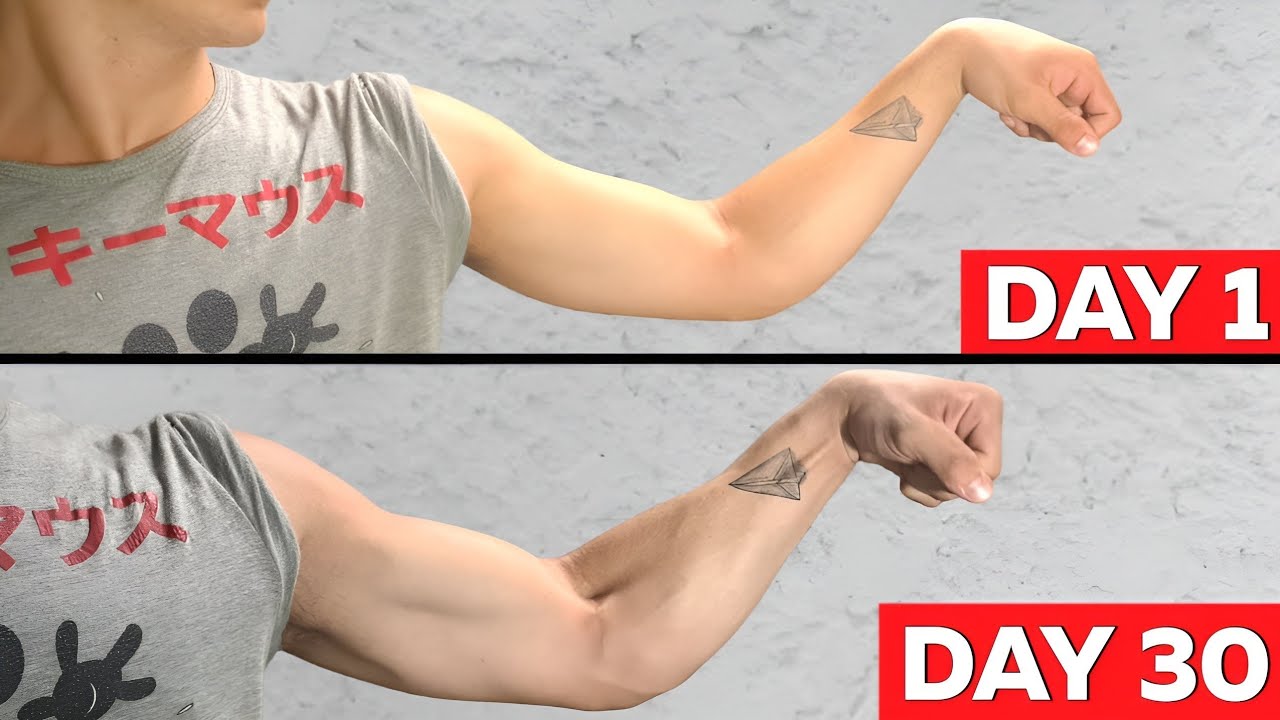 5 MINUTE FOREARM WORKOUT (NO EQUIPMENT) YouTube