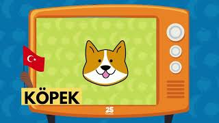 Animals in Turkish screenshot 1