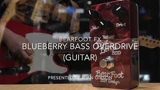 BearFoot FX BlueBerry Bass Overdrive - (Guitar) FULL DEMO with