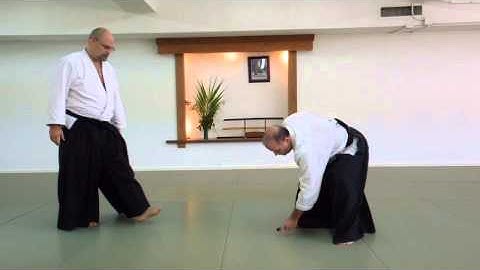 Open Sky Aikido Tanto Dori.  Basic ideas.