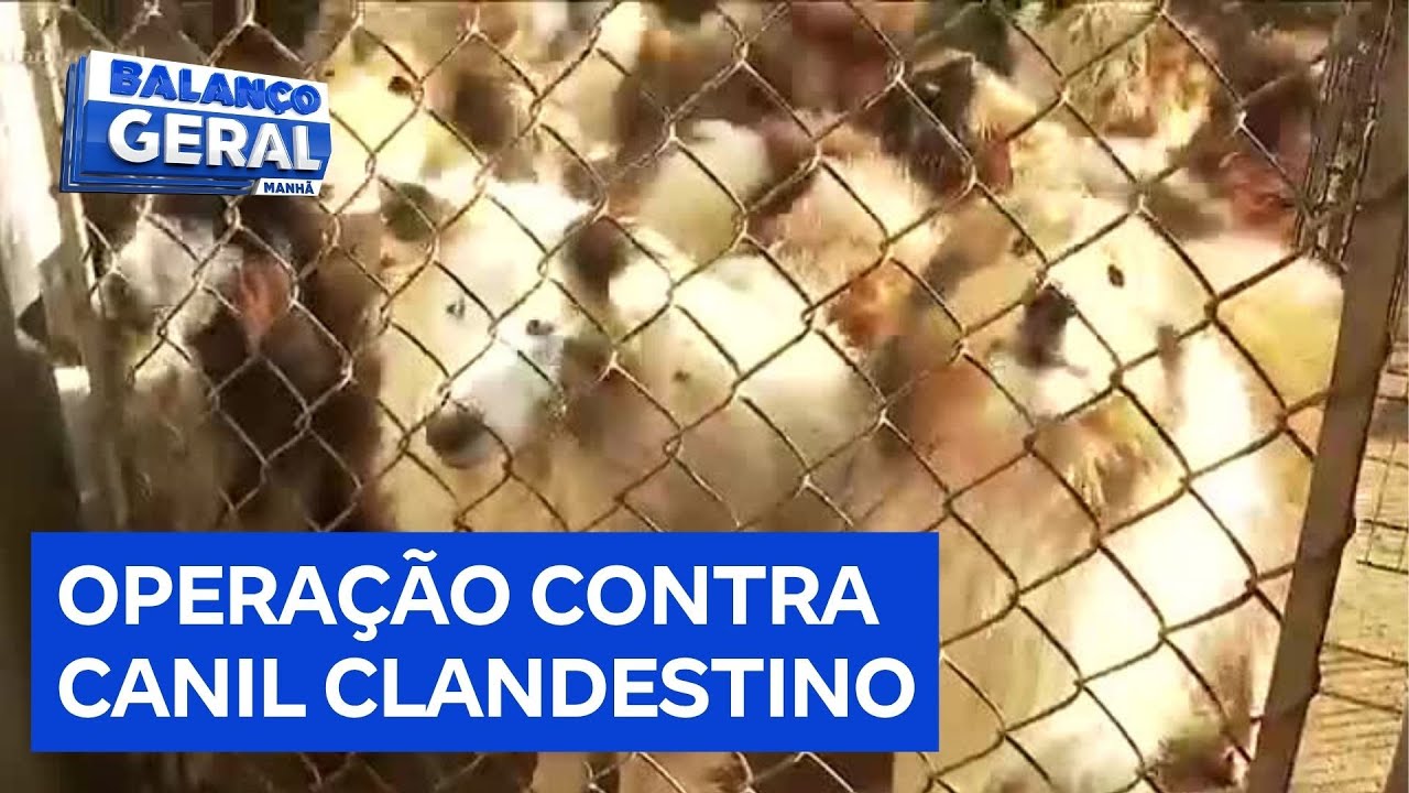 Polícia realiza operação contra canil clandestino em Carapicuíba, na Grande SP