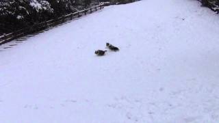 20140214 雪あそび 2