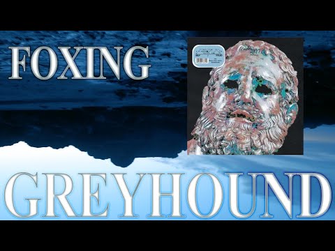 GREYHOUND BY FOXING